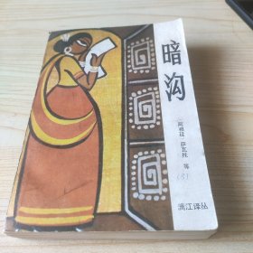 漓江译丛8 暗沟