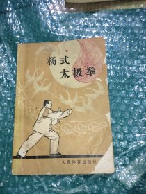 杨式太极拳