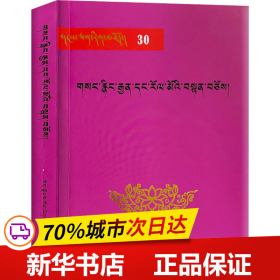 保正版！密宗服装与法器9787805890227藏文古籍出版社[明]扎西嘉措 等