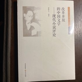 改革开放的中国文学：现代小说评论