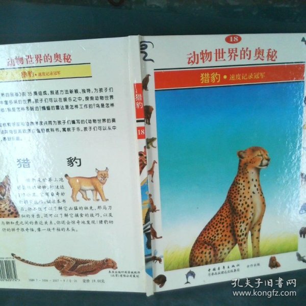 动物世界的奥秘:[图集].18.猎豹:速度记录冠军