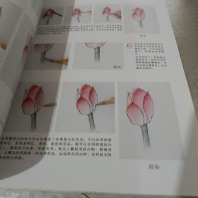 无师自通学工笔：荷花