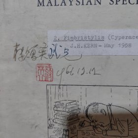 著名植物学泰斗蒋英签赠本《IDENTIFICATION LISTS OF MALAYSIAN SPECIMENS》