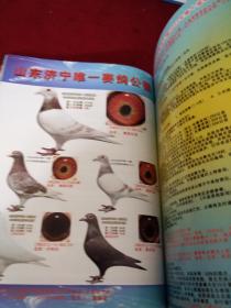 信鸽市场 杂志 赛鸽 2013春季号 总第34期