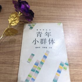 青年小群體