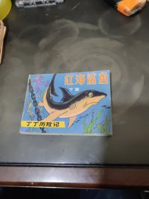 红海鲨鱼 下集