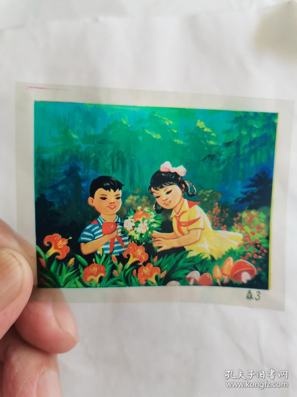 彩色幻灯片《祖国的森林》共6片
