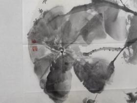 保真书画，王远声《荷香》国画一幅，尺寸68.5×68.5cm，软片。王远声，中国美术家协会会员，炎黄之源中国画院副院长，河南省书画院特聘画家。