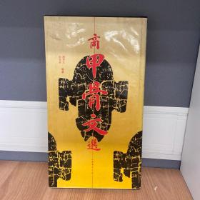 商甲骨文选