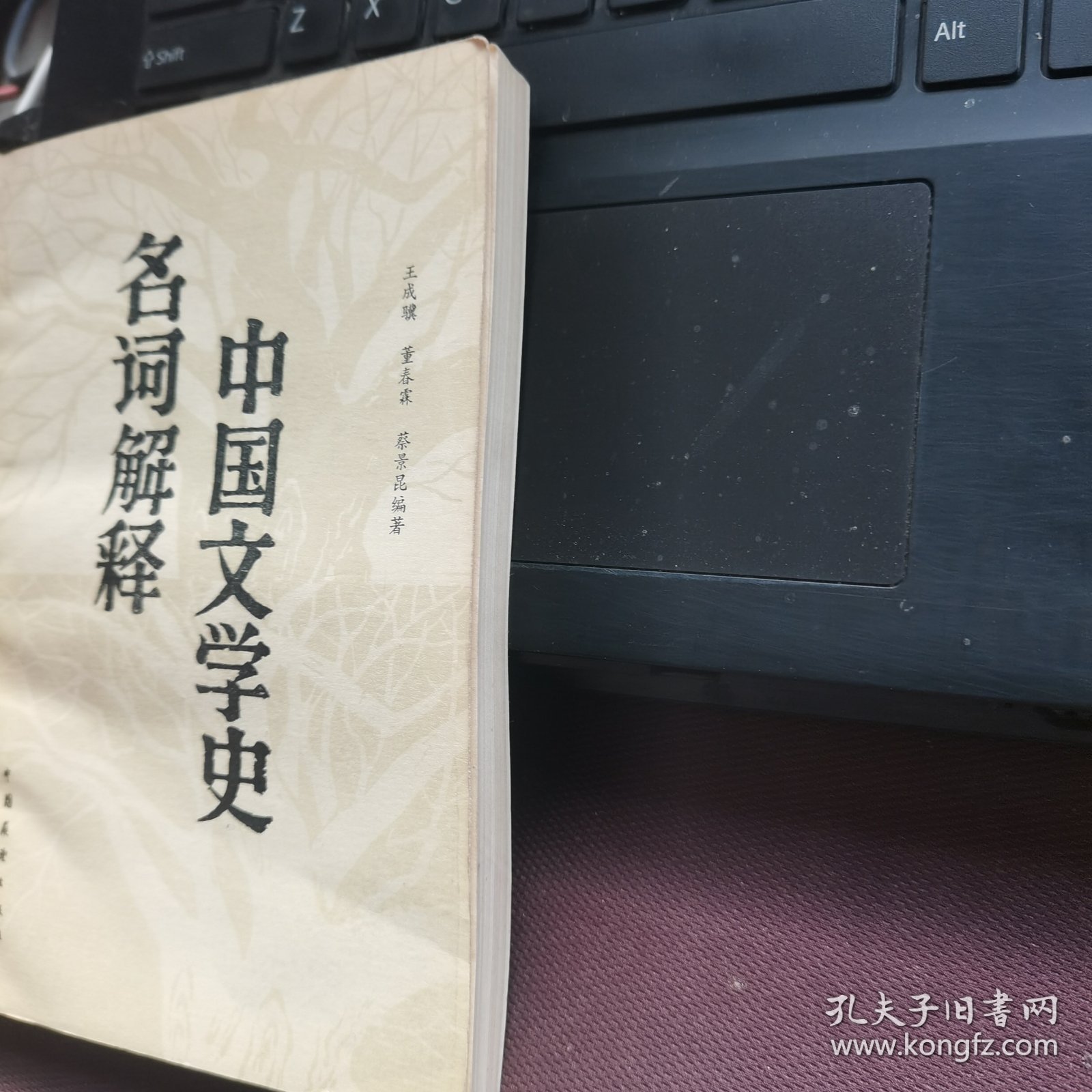 中国文学史名词解释