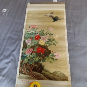 鸽子牡丹