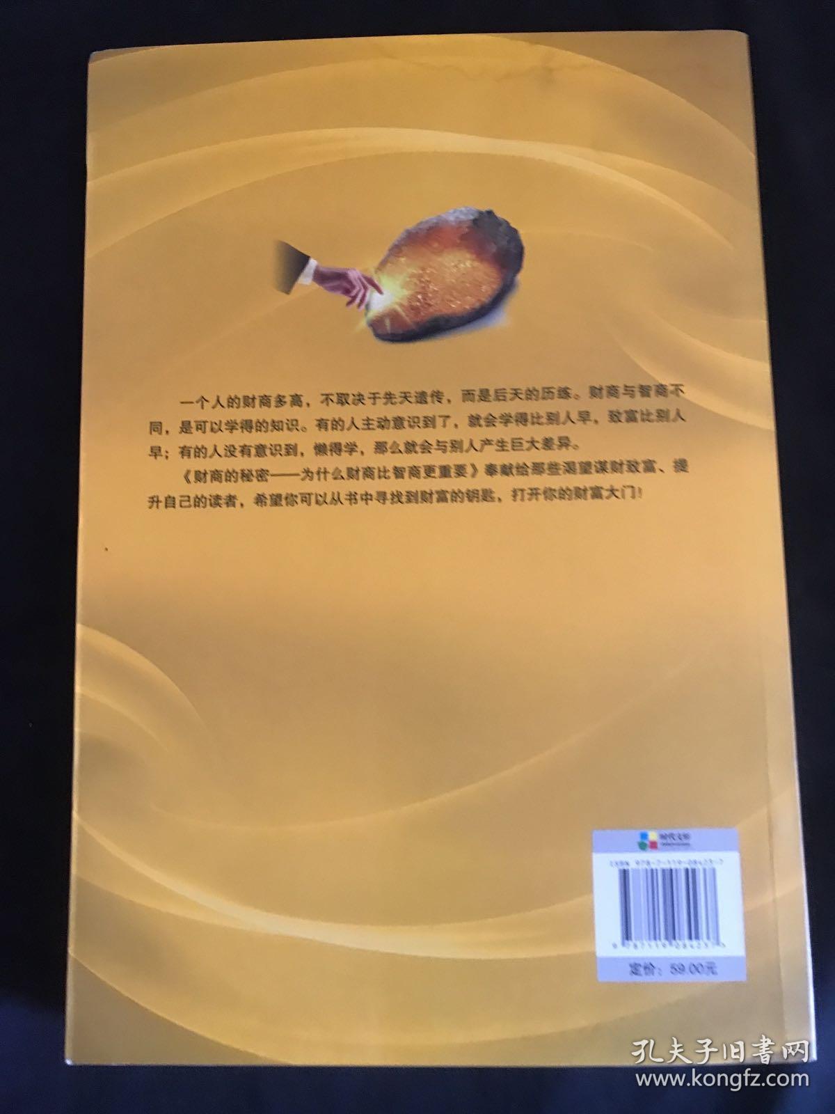 财商的秘密 : 为什么财商比智商更重要