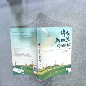 停在新西兰刚刚好：要旅行，也要养活自己