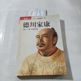 德川家康（第十一部）：王道无敌