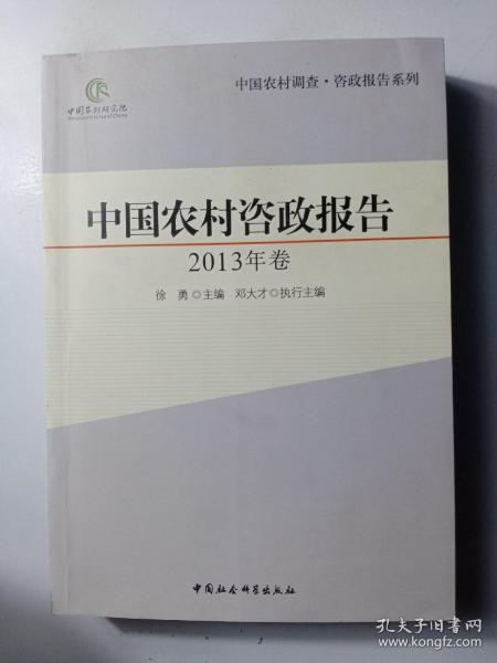 中国农村调查·咨政报告系列：中国农村咨政报告（2013年卷）