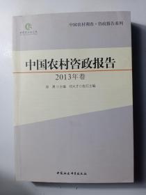 中国农村调查·咨政报告系列：中国农村咨政报告（2013年卷）