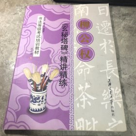 书法等级考试培训教材：柳公权玄秘塔碑&gt;精讲精练