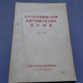 高举毛泽东思想伟大红旗，把无产阶级文化大革命进行到底（第十一集）