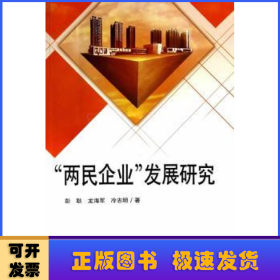 “两民企业”发展研究