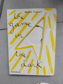 The Game in the Dark [Hardcover] 和影子一起玩