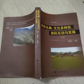 藏彝走廊文化多样性族际互动与发展【上】