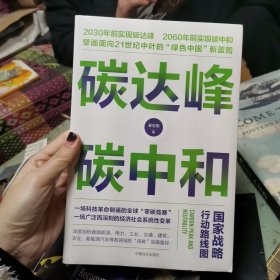 碳达峰碳中和：国家战略行动路线图 袁志刚 循环经济 低碳经济 环境气候