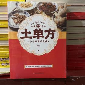 土单方   中医书籍养生偏方大全民间老偏方美容养颜常见病防治 保健食疗偏方秘方大全小偏方老偏方中医健康养生保健疗法