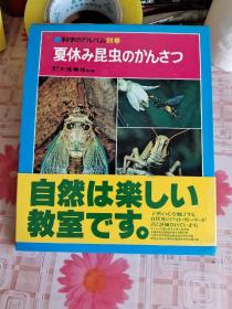 夏休み昆虫のかんさつ【日文原版】