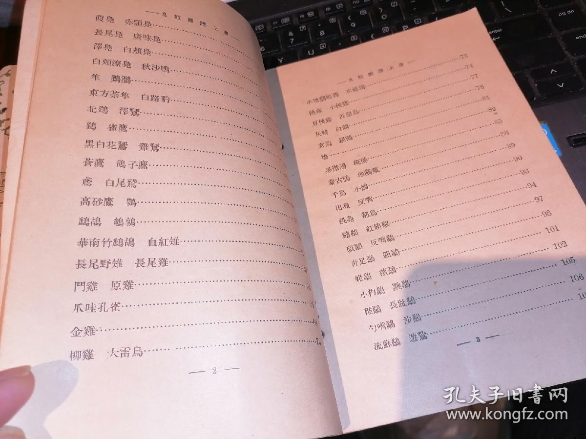 中学生自然研究丛书: 鸟类图谱（上） 民国版--赣南中学藏书【今赣四中】—店前架
