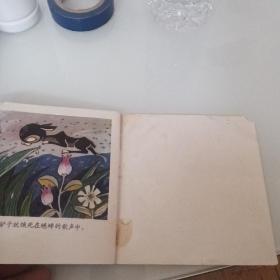 48开连环画：乌鸦和白鸟