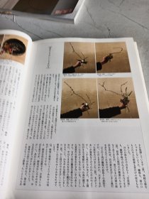 川瀬敏郎今様花伝書