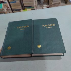 代数学辞典问题解决上下册