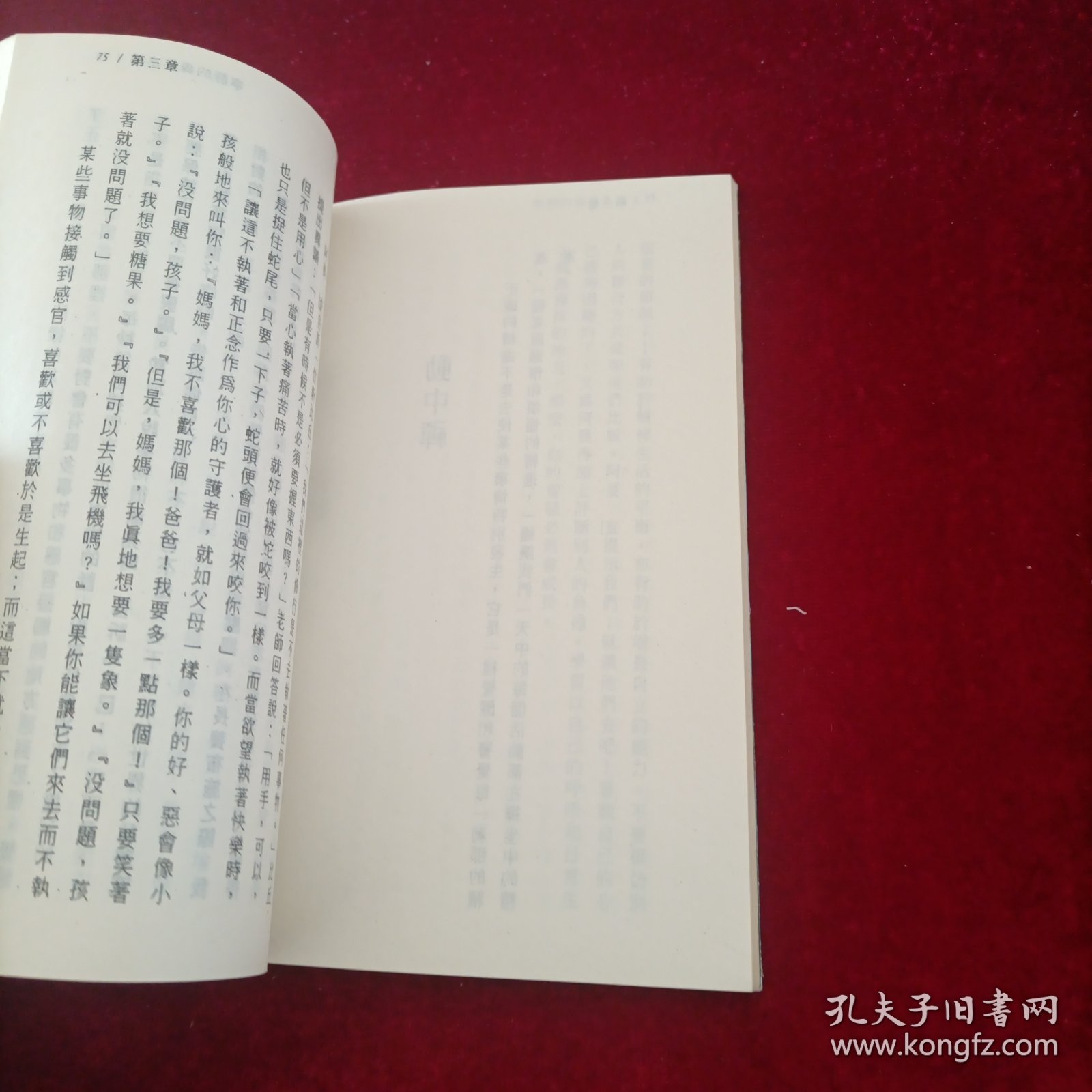 宁静的森林水池：阿姜查的内观禅修