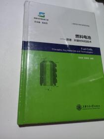 燃料电池·原理关键材料和技术：能源与环境出版工程