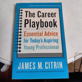 The Career Playbook Essential Advice for Today\'s Aspiring Young Professional