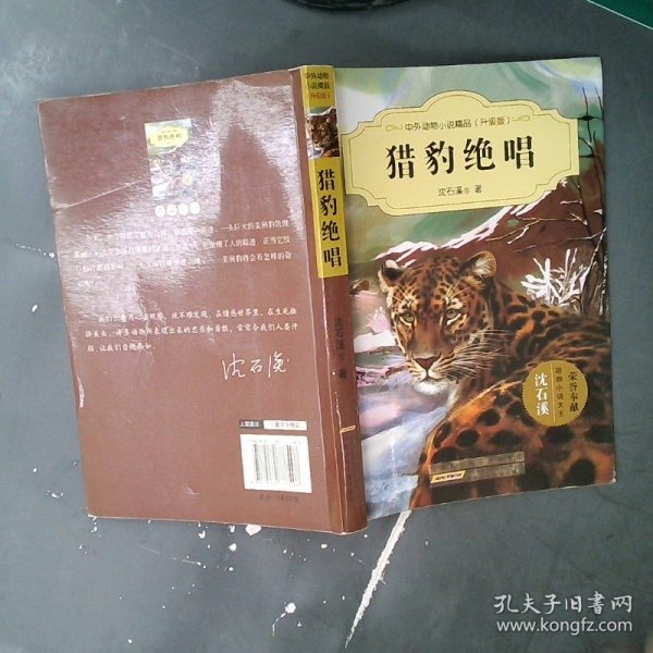 中外动物小说精品:升级版?猎豹绝唱沈石溪