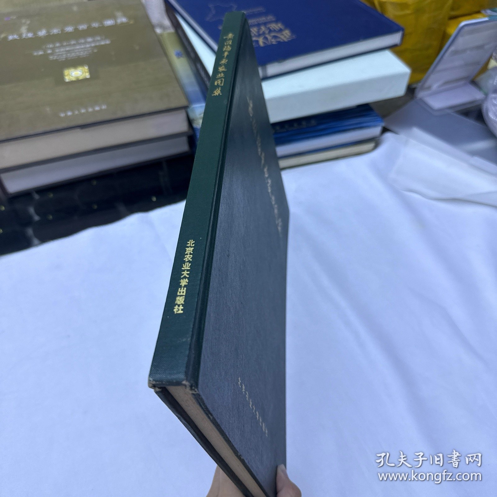 黄淮海平原农业图集