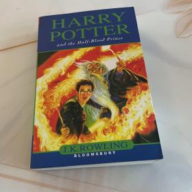 Harry Potter and the Half-Blood Prince
First Edition 
哈利·波特和混血王子
2005年第一版
标价16.99 精装版