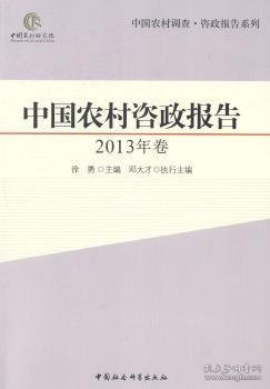 中国农村调查·咨政报告系列：中国农村咨政报告（2013年卷）