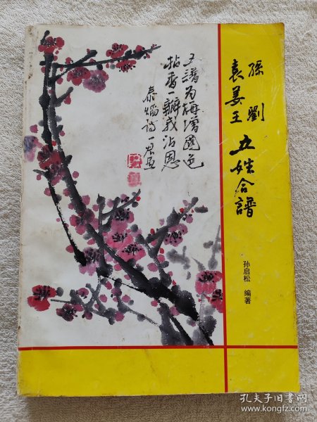 孙刘袁姜王五姓合谱+三张孙氏先祖碑文照片