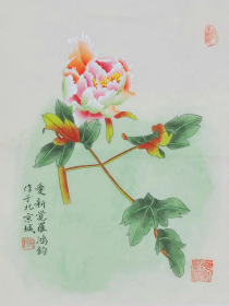 金鸿均 字画国画工笔画精品花卉02（买家自鉴）