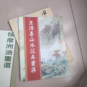 王泽喜山水花鸟画集