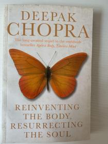 Reinventing the Body, Resurrecting the Soul: How to Create a New Self 9781846041723