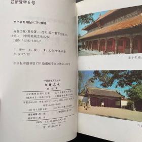 中国地域文化丛书- 齐鲁文化 燕赵文化 三秦文化 荆楚文化 台湾文化 吴越文化 江西文化 合售