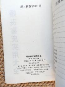 婚丧喜庆实用大全