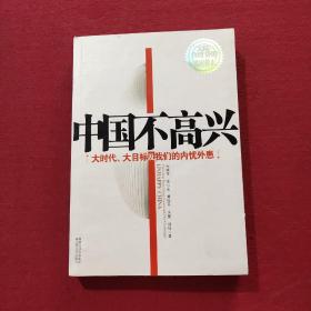 中国不高兴：大时代大目标及我们的内忧外患