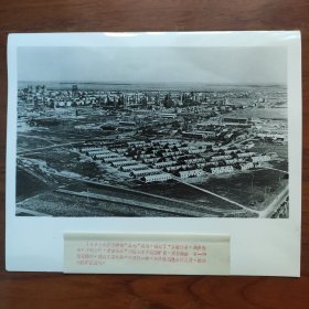 超大尺寸：1977年，大庆油田矿区全景（1171号）