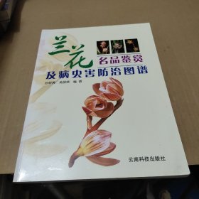 兰花名品鉴赏及病虫害防治图谱