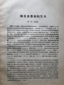 棉花黄萎病、枯萎病参考资料；中国农业科学院棉花研究所1965