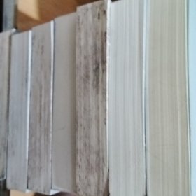 大金王朝 1北方的王者(有污渍,随机发货)